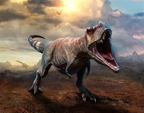 Caracter Sticas Del Tyrannosaurus Rex Tiranosaurio El Mayor