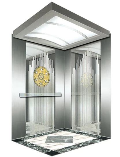 Hairline Stainless Steel House Elevator Lift