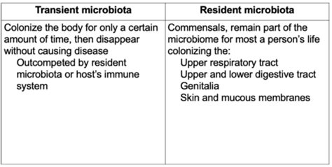 Microbiology Exam Flashcards Quizlet