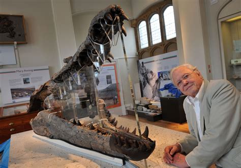 Two Metre Long Fossil Found On Jurassic Coast To Be Subject Of