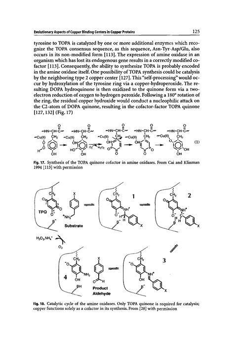 Copper Function Big Chemical Encyclopedia