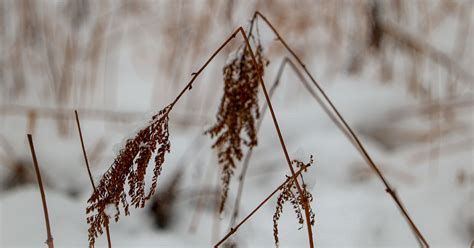 Tiefer Winter In Au Erhalb Salzburgs Sch Ne Heimat Fotoblog Sn At