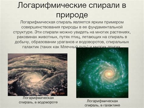 Логарифмические спирали
