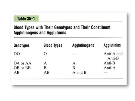 Physiology Chapter 36 Blood Types Transfusion Tissue And Organ