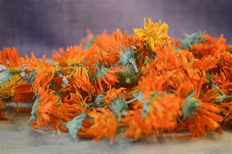 Dried Calendula Flowers Certified Organic Medicinal Etsy