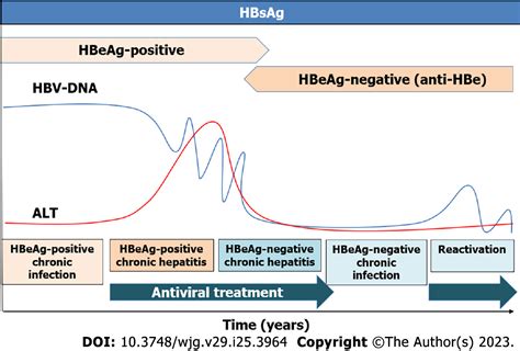 Past Present And Future Of Long Term Treatment For Hepatitis B Virus