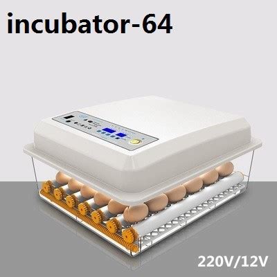 V V Egg Incubator Fully Automatic With Hatcher Inkubator Penetasan