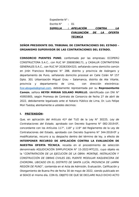 Recurso DE Apelación MODELO Expediente N Escrito N 01 SUMILLA