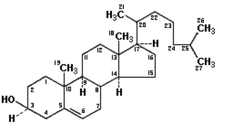 Kimia Bahan Alam Biosintesis Steroid