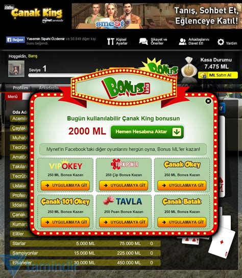 Mynet Çanak King İndir - Ücretsiz Oyun İndir ve Oyna! - Tamindir