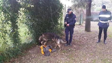 Polizia Locale Ed Esercito Controlli Antidroga In Citt