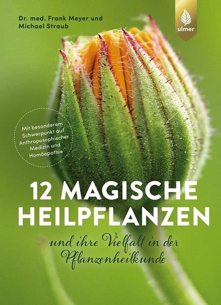 12 Magische Heilpflanzen Gartenratgeber Shop