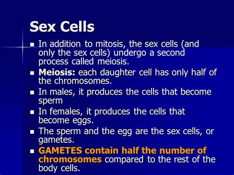 Mitosis And Meiosis Ppt Video Online Download