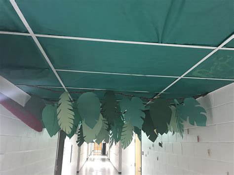 Covering Ceiling At School For Jungle Theme In The Hallway School