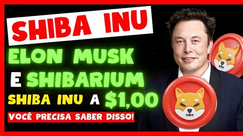 SHIBARIUM E ELON MUSK PODEM LEVAR A SHIBA INU PARA 1 00 NOTÍCIAS DE