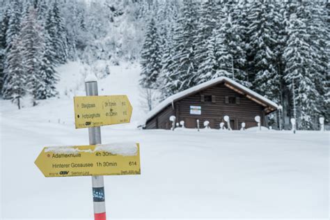 Am Gosausee Wandern Ein Rundweg Im Malerischen Salzkammergut