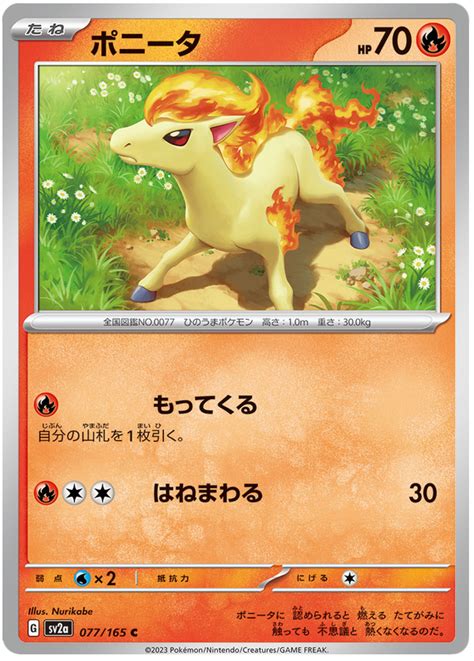 Ponyta Pokemon Pokemon Card