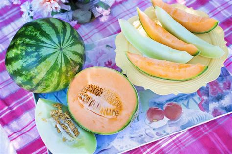 Free Images Fruit Sweet Summer Dish Meal Food Produce Natural