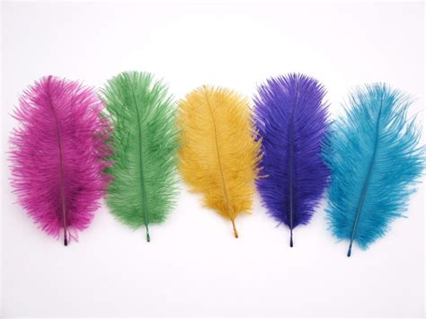 Category: Ostrich feathers natural and dyed – Jaffe