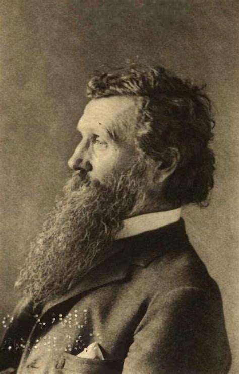 writings  john muir