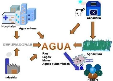 Solved Observa Analiza Y Realiza Un Escrito De La Siguiente Imagen