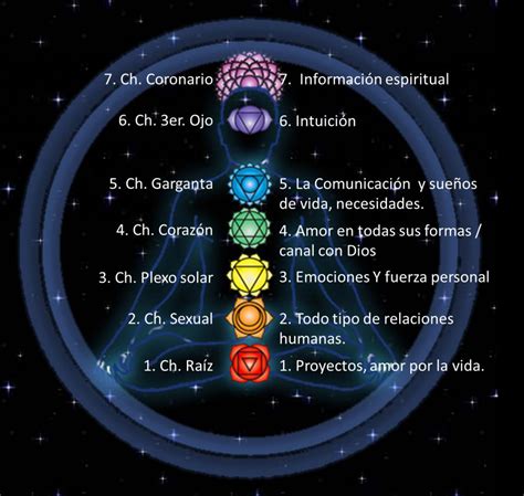 Descripción de los siete CHAKRAS principales Reiki and NLP Coach Yas