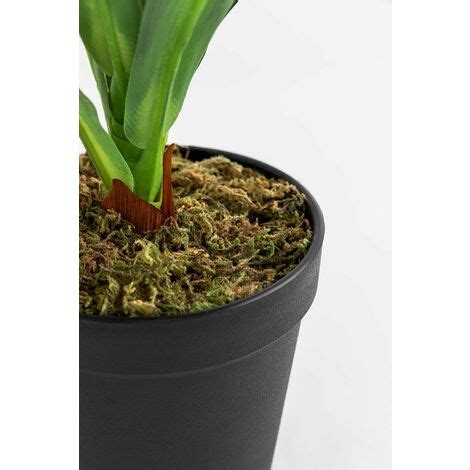 Sklum Pianta Artificiale Decorativa Dracaena Cm Cm