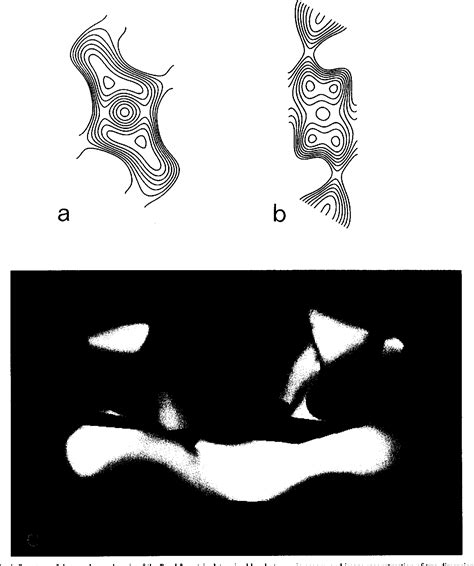 Figure 2 from Band 3 protein: structure, flexibility and function. | Semantic Scholar