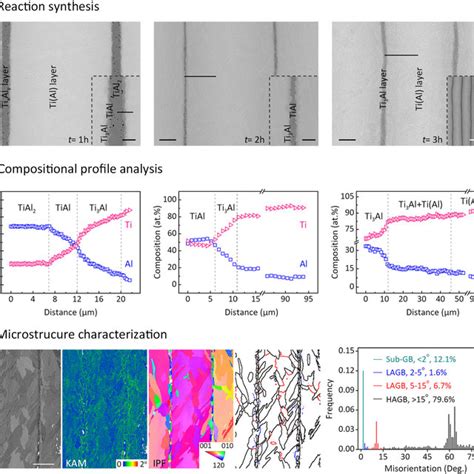 In Situ Tensile Straining And Associated Dic Strain Analysis A