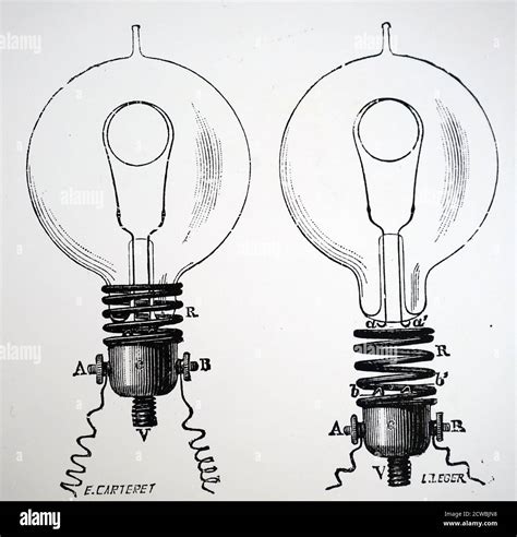 Engraving Depicting Swan Incandescent Light Globes The Carbon Filament