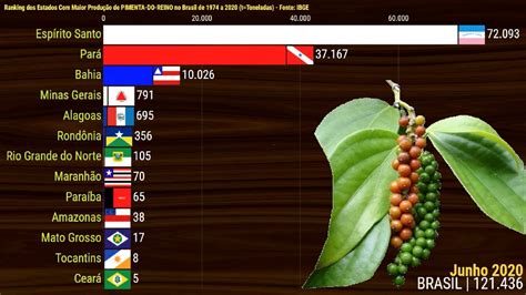 Ranking da Produção de Pimenta do Reino nos Estados do Brasil de 1974 a