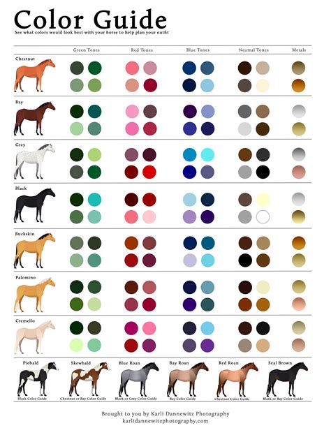 What Colors To Wear That Best Complement Your Horses Color Horse