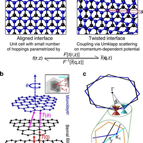 Aligned Vs Twisted Interfaces In Van Der Waals Heterostructures A