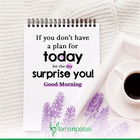 50 Good Morning Quotes Wishes Messages And Images 2023 Fnp Sg