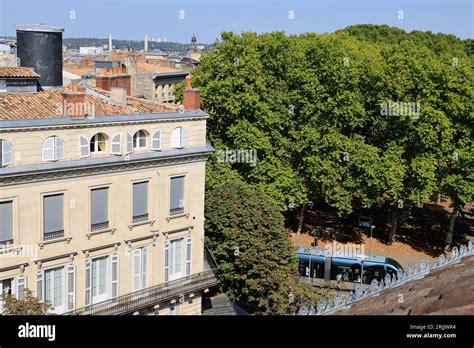 Réchauffement climatique canicule chaleur arbres et végétalisation