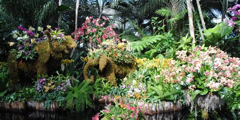 Bronx Botanical Garden | Escape into a Paradise of Flowers