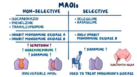 Monoamine Oxidase Inhibitors Video And Anatomy Osmosis