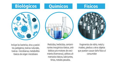 Descubre la clave de los principios físico químicos y biológicos