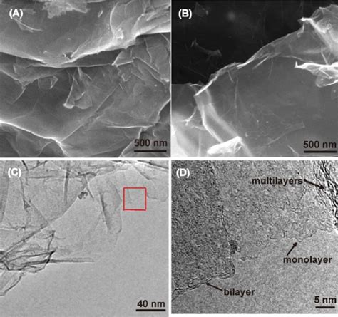 Sem Images Of Go A Rgo B A Tem Image Of An Rgo Platelet C And A