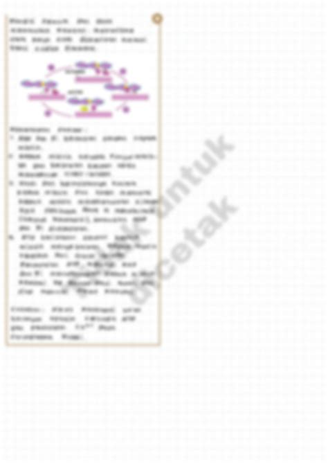 Solution Sistem Rangka Dan Otot Biologi By Catatanindahns Studypool