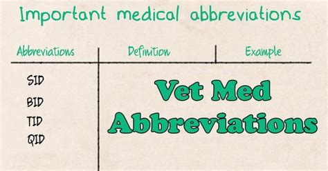 Vet Med Abbreviations Vet Med Vets Medical Terms