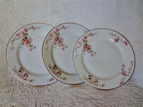 Antique China Plates Z S Co Bavaria By Alayrayvintage On Etsy China