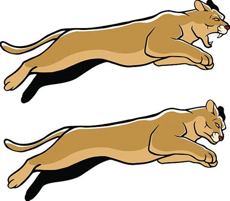 Royalty Free Cougar Head Clip Art Clip Art Vector Images