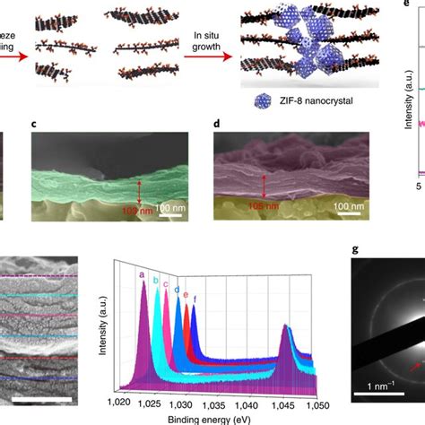 Pore Structure Of Go Based Membranes And Elucidation Of Zif 8 Growth