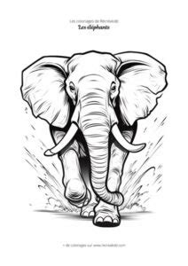 Coloriage éléphant à imprimer PDF Dessin d éléphant à colorier gratuit