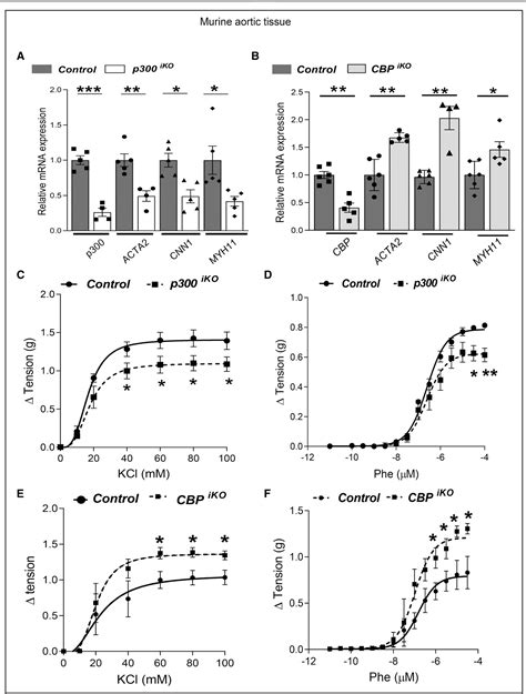 Figure 2 From Histone Acetyltransferases P300 And CBP Coordinate