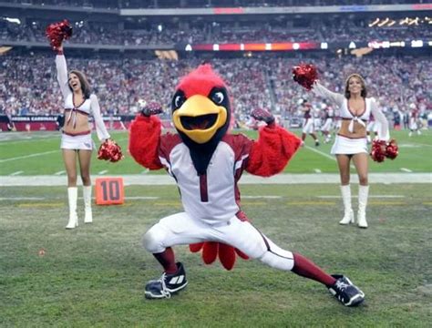 Big Red - Arizona Cardinals - SportMascots.com