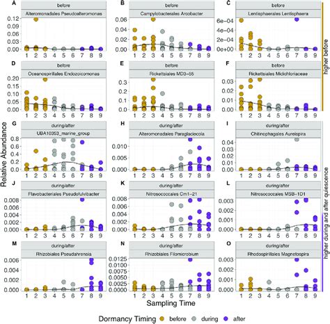 Relative Abundance Of Selected Active Taxa Indicated By Order And