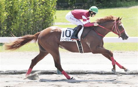 「ウマ娘」藤田晋オーナーの外国産馬2頭が新潟新馬戦をともに快勝 スポーツ報知