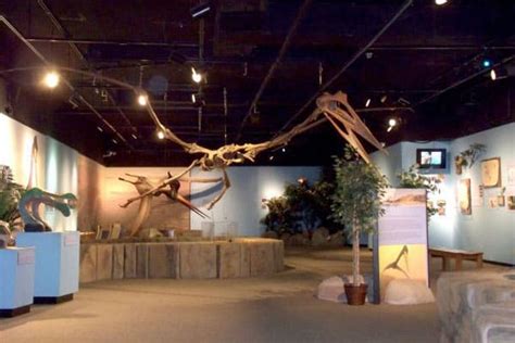 Arizona Museum of Natural History: A Place For Family Fun